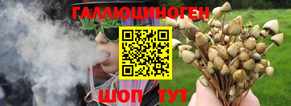 Псилоцибиновые грибы ЛСД  как найти закладки  Городец  Вход с VPN  Галлюциногенные грибы MAGIC MUSHROOMS 